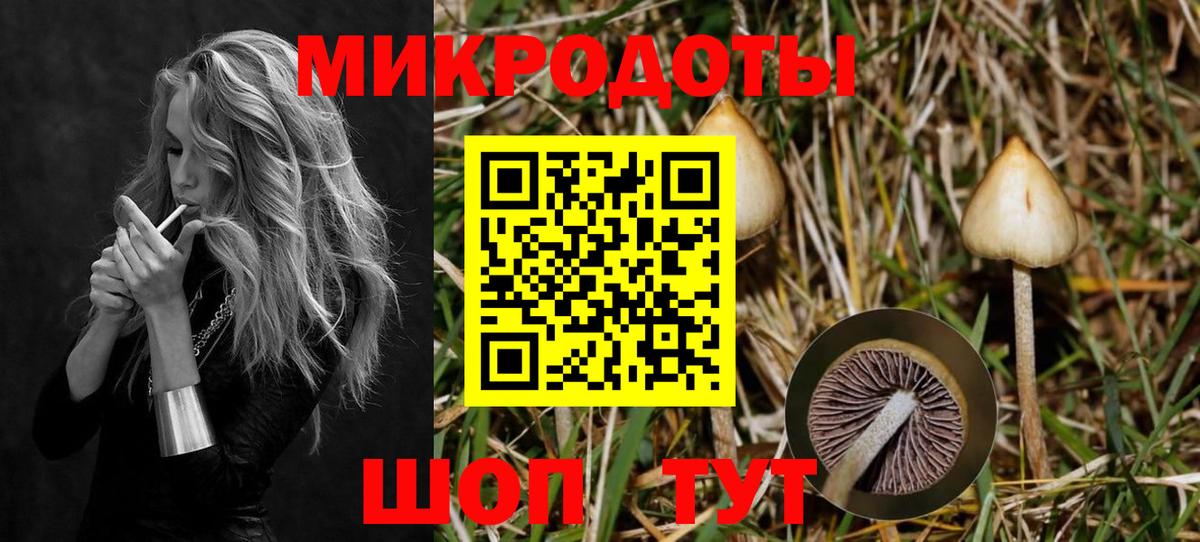 Псилоцибиновые грибы Psilocybe  Вход с VPN  Бутурлиновка 